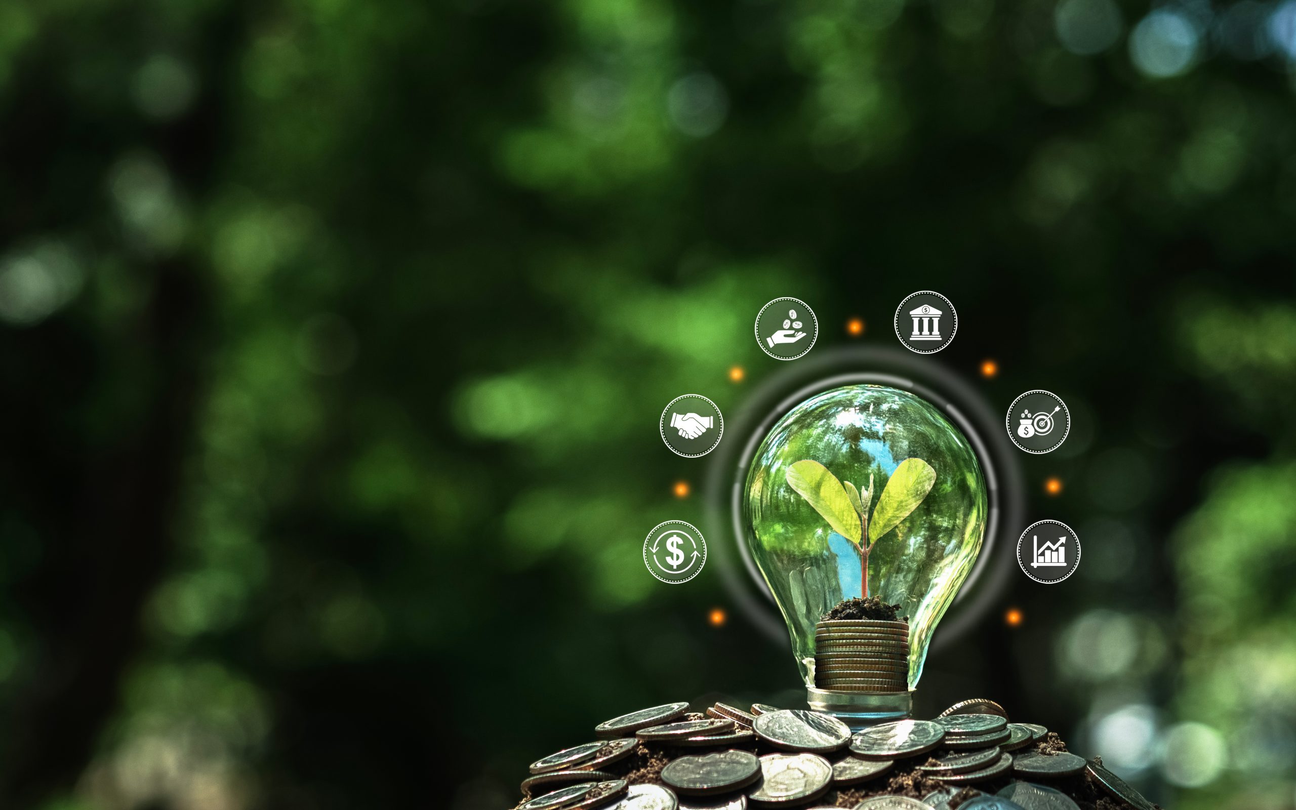 How to use bank accounts of Vietnam company