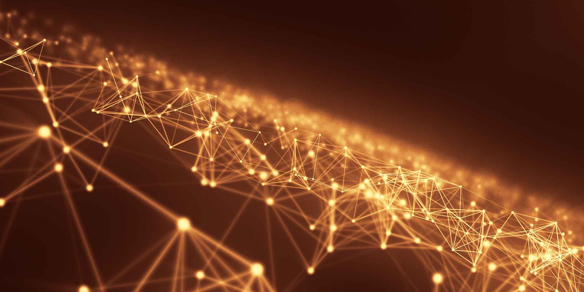 Software company Vietnam